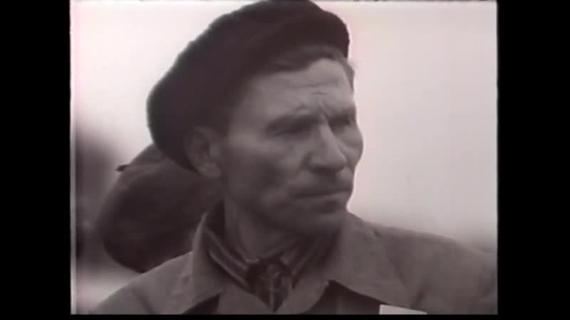 Мать и
