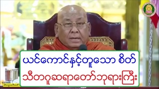 ယင္ေကာင္ႏွင့္တူေသာ စိတ္ တရားေတာ္ သီတဂူဆ&