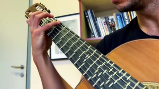 Bachs Gigue on Microtonal Guitar in Bachs student Kirnbergers tuning - Burak Akan