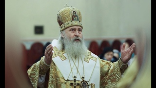 Проповедь архиепископа Феогноста 3 января
