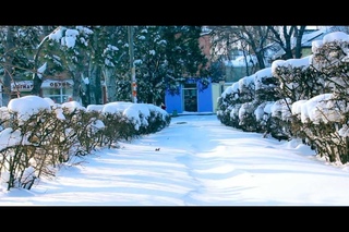 Холодный февраль. Крым. Феодосия. 2012 -