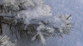 ЗАСНЕЖЕННАЯ НЕЖНОСТЬ.Secret Garden-Lament for a Frozen Flower -