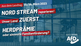 Aus dem Landtag: Nord Stream reparieren, Deutschland zuerst, Herdprämie?