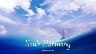 Taoufik - Souls Harmony (Official Music 2024)