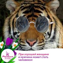 Миша Капранов