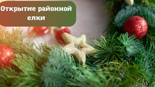 Открытие районной елки