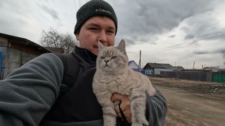 Рейс в #иркутск #2 (#нижнеудинск - иркутск ) #котдальнобой