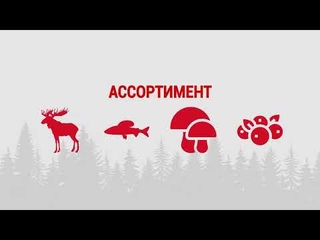 Презентация Дикоед для HoReCa