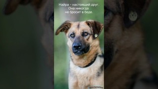 Смелость и нежность