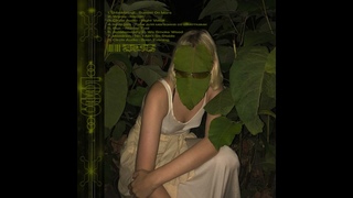 Russian lo-fi house / Vol-5
