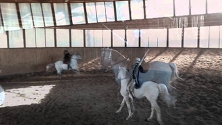 Fencing on Horseback