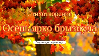 Стихотворение Осень ярко брызнула