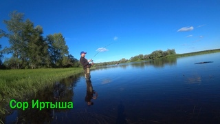 Рыбалка на Соре ИРТЫША. 4 Дня На Рыбалке. Походная Баня в Палатке Берег.