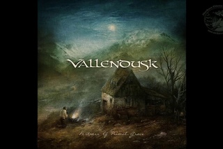 Vallendusk - Fortress of Primal Grace (Official Album Premiere)
