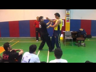 Dai Sifu Emin Free Chi Sao Training Ebmas