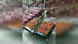 Город моей любви Л Шаткова