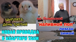 ЕйскРемонт у Тани, в квартире 70х. Наливной пол на Лиманской. Лиман зимой. Наши цыплята,третий день