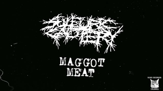 Sulfuric Cautery (USA) - Maggot Meat [Single] (2024) (Blasting Goregrind)