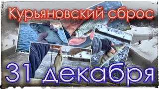 Курьяновский сброс. 31 декабря. Мормышинг
