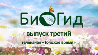 БиоГид. Выпуск третий. В. Н. Буркова. Описторхоз.
