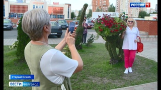 В Старом Осколе появились новые арт-объекты