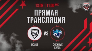 . МХК «Молот» – «Снежные Барсы» | (OLIMPBET МХЛ 24/25) – Прямая трансляция