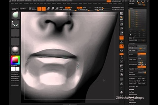 Anatomy of the Face: The Mouth