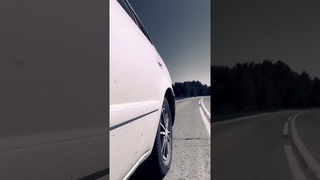Газ до отказа…