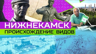 ПРОИСХОЖДЕНИЕ ВИДОВ. Как строили город Нижнекамск.