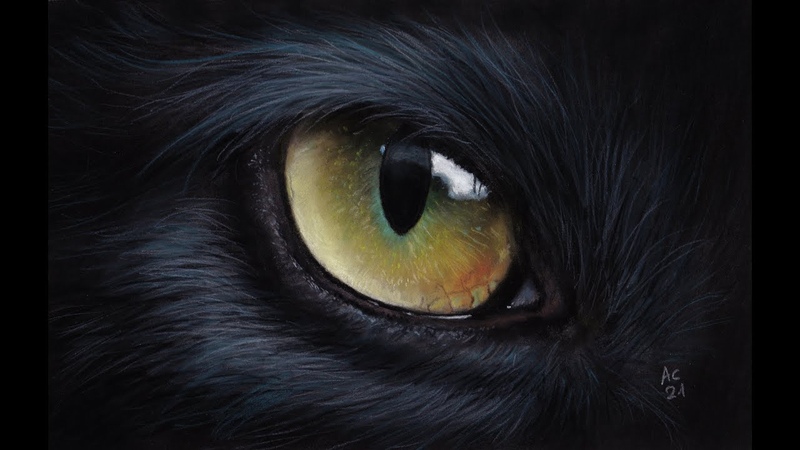 Pastellzeichnung schwarzes Katzenauge Black Cat Eye