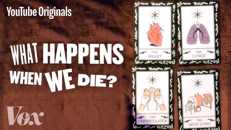 What Happens When We Die Glad You Asked
