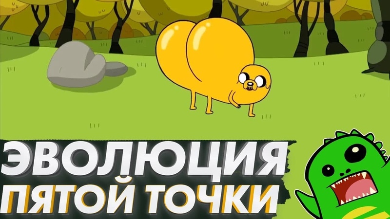 ЭВОЛЮЦИЯ ТВОЕЙ ПОПЫ, КЛОАКА и как это