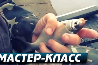 Как Удачно Рыбачить с Берега Поплавочной Снастью. Мастер-Класс.