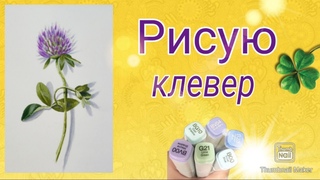 Скетчинг маркерами для начинающих Как нарисовать цветок клевер  Sketching markers