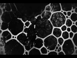 Regis - Slave To The Inevitable