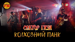 ПушкарьFM - “Колхозный панк“ (Сектор Газа cover) - Live “Grand Hall“ Ковров