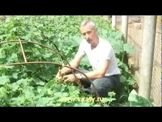 Доктор Попов - Сила земли