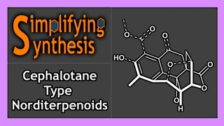 Unified Total Syntheses of Benzenoid Cephalotane Norditerpenoids