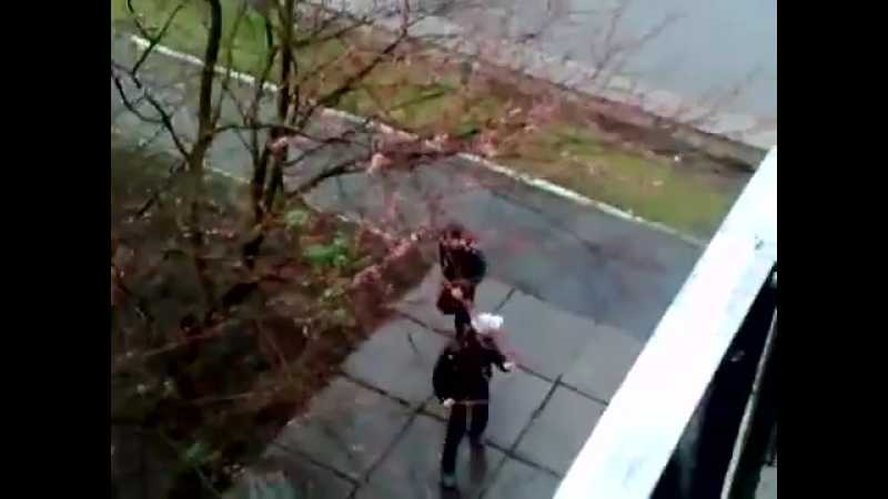 Травка підбирає